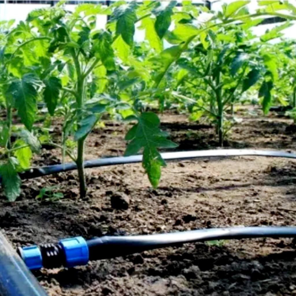 Фото товару